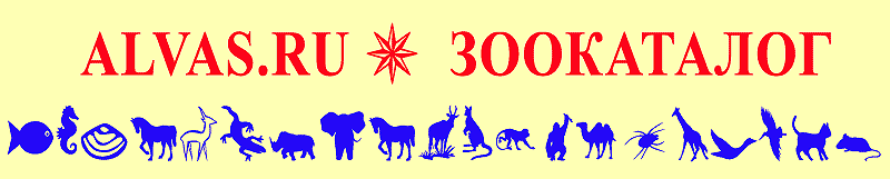 Zoocatalog �� ALVAS.RU