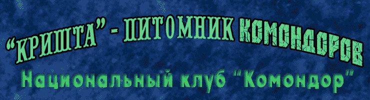  -  .