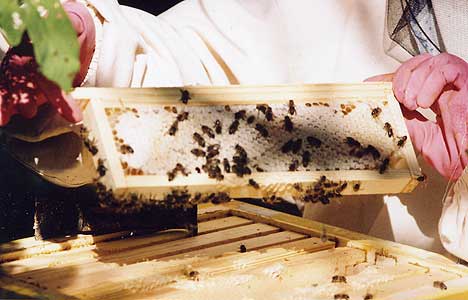 C��� � ����.