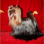 ������ ��� Andryushina Marina