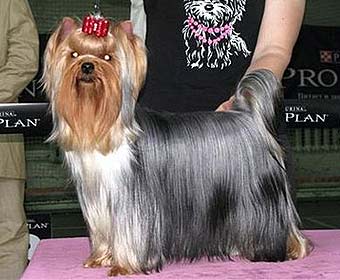 ����������� ������