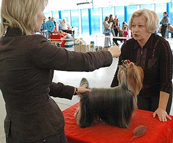 ����������� ������