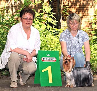 ����������� ������