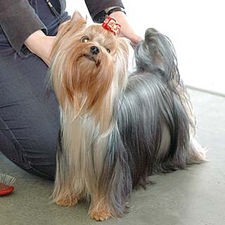 ����������� ������