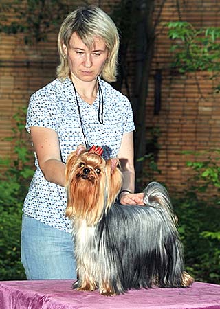 ����������� ������