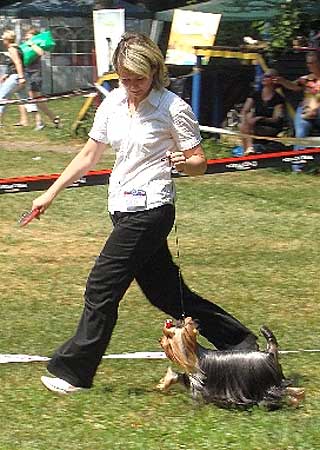 ����������� ������