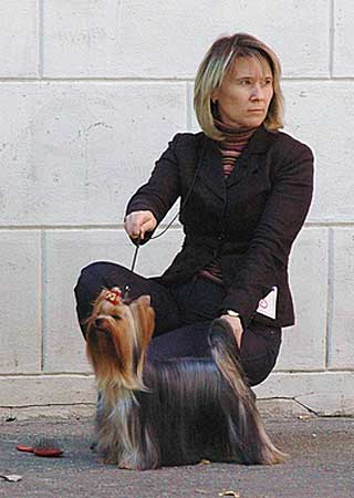 ����������� ������