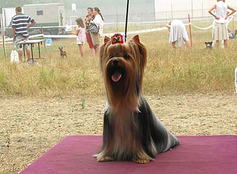 ����������� ������