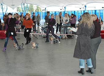 ����������� ������