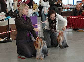 ����������� ������