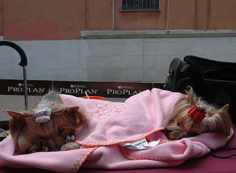 ����������� ������