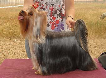 ����������� ������