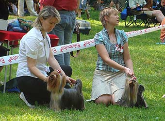 ����������� ������