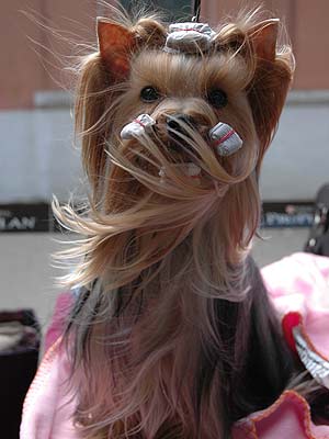 ����������� ������