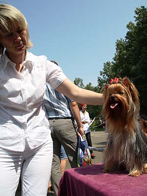 ����������� ������