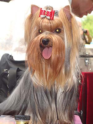 ����������� ������