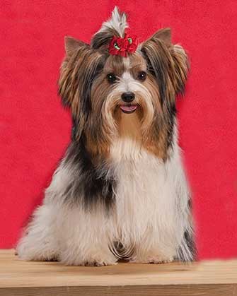 ����� ����.