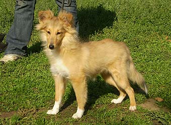 ����� �������� ����� �������.