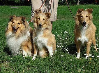 ����� �������� ����� �������.