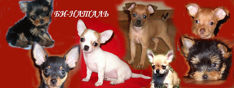 ������� ���