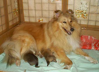 ����� ������� ����� ����.