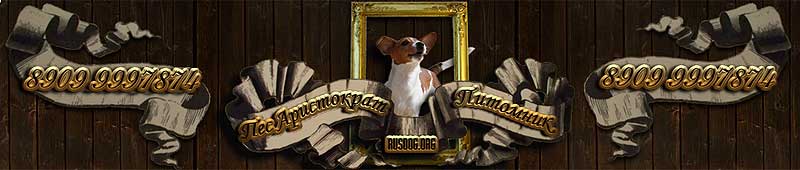 ���� ������ ������� ��������� ��� ����������.