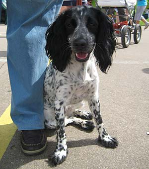 ������� ��������