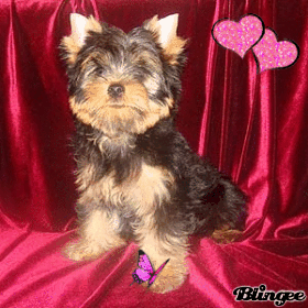 ����������� ������