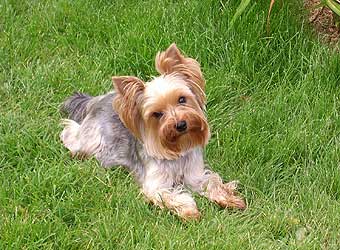 ����������� ������ ������ �� �������� ���� ��� 13 �������