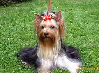 ����������� ������ ������ �� �������� ���� ��� 12 �������