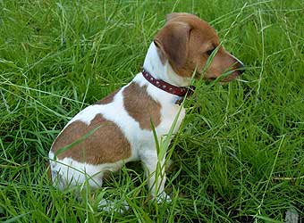 ���� ������ ������.