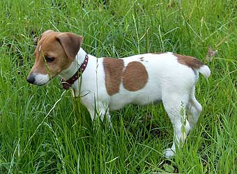 ���� ������ ������.