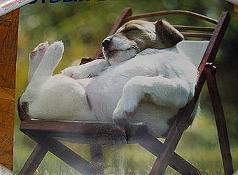 ���� ������ ������.