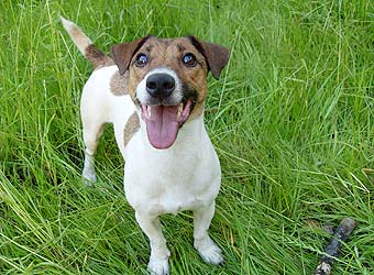 ���� ������ ������.