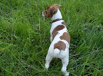 ���� ������ ������.