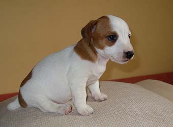 ���� ������ ������.