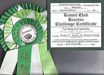 ��������������� ����������.