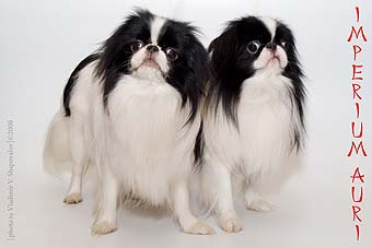 �������� ����