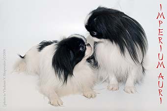 �������� ����