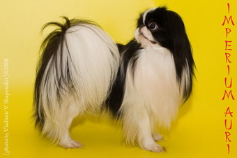 �������� ��� ������