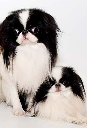 �������� ���� ������ � ������