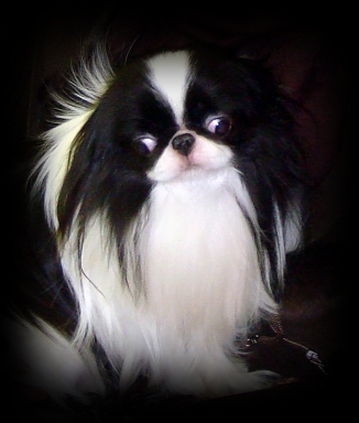 �������� ��� ������ �������