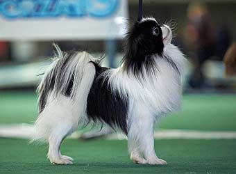 �������� ��� ������