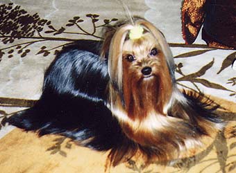 ��������� ���� ����������.