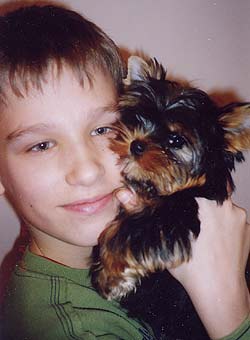 ����������� ������ �����.