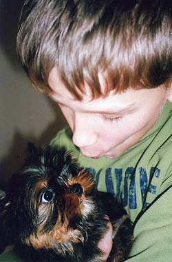 ����������� ������ �����.