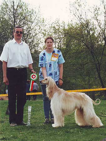 �����, ���������, ��������� ������.