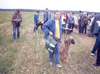 �����, ���������, ��������� ������.