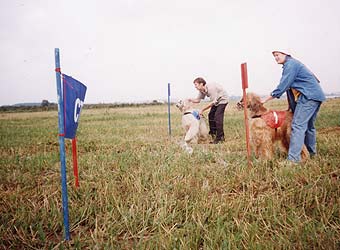 �����, ���������, ��������� ������.