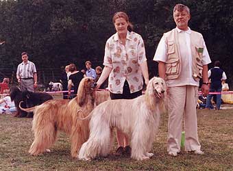 �����, ���������, ��������� ������.